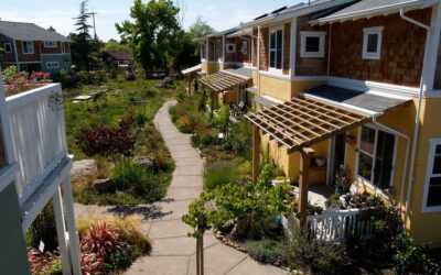 co-housing: umanità da condividere.
